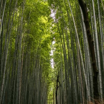 “把文学的触角伸到田间地头”（守望）